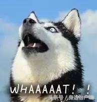 早点晚报：郑州航展今日飞天！郑报融媒现场直播，扫码就能围观