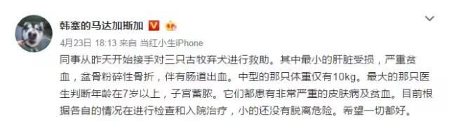 古牧真的很难养吗,古牧被遗弃了