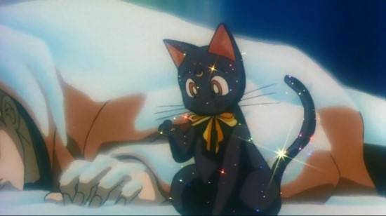 动漫当中的可怕黑猫,动漫恐怖黑猫