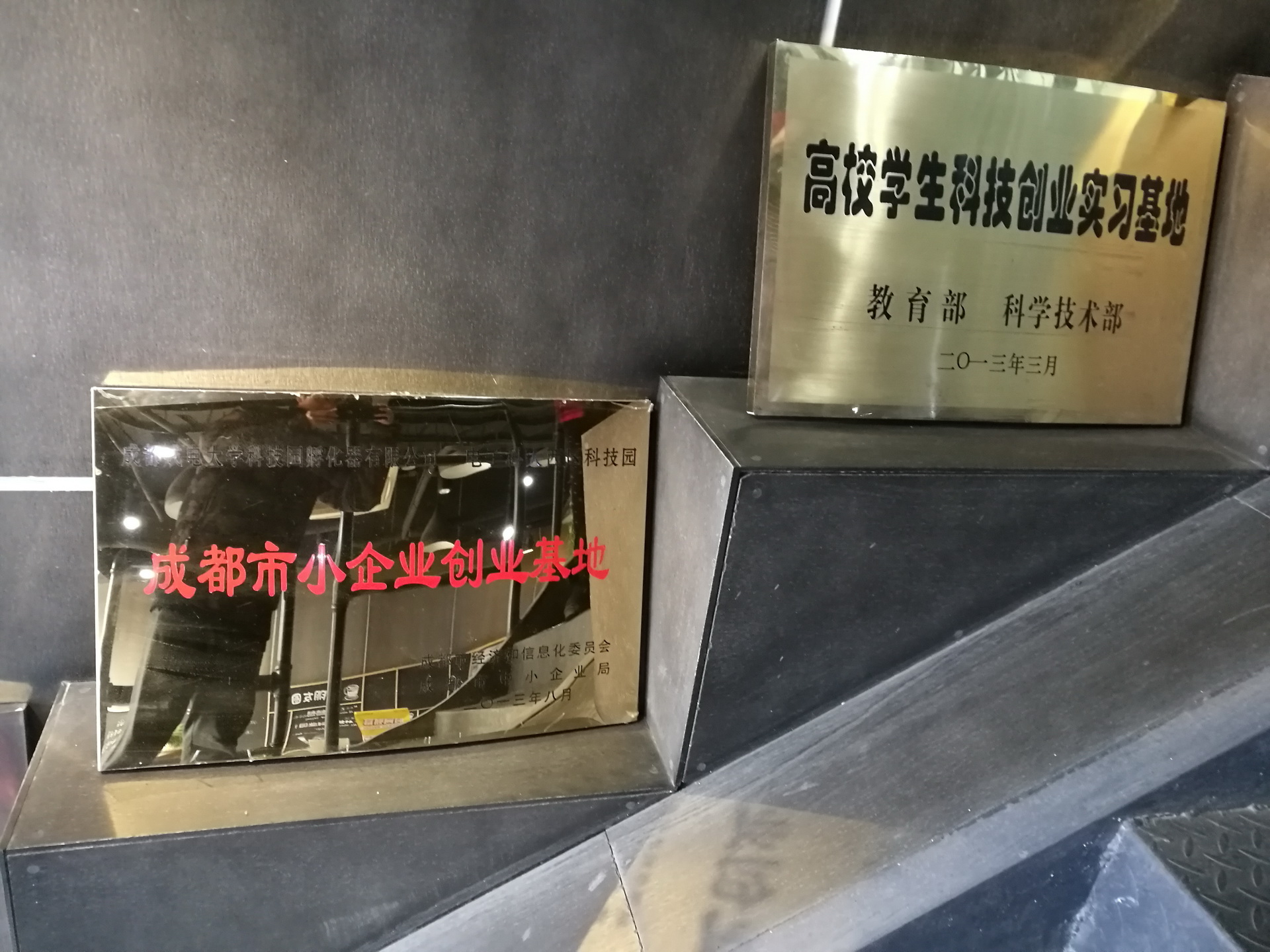 鸪鸪鸟生态农业创业团队：我是农村大学生我为自己代言