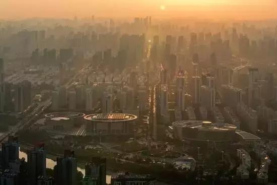 万万没想到,PM2.5二次生成,树木也有“贡献”