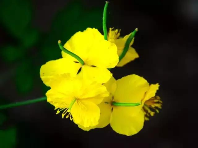 密云很少人知道的地方,密云发现神秘遗址