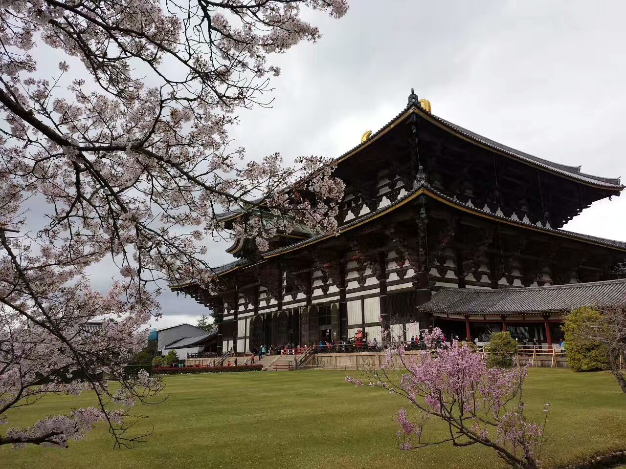 初游日本,日本最值得尊敬的对手