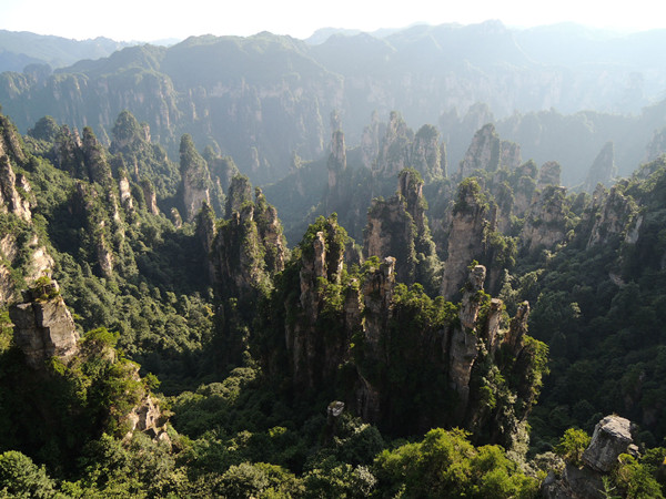 张家界为什么导游多,张家界自由行导游坑不坑