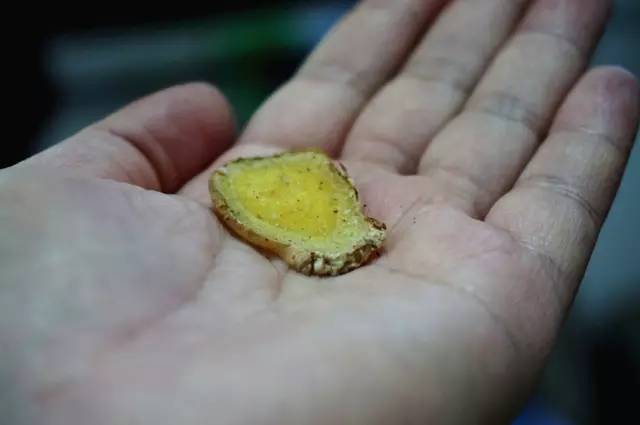 脑子进水了用什么方法能救活,脑子进水了吃什么药好