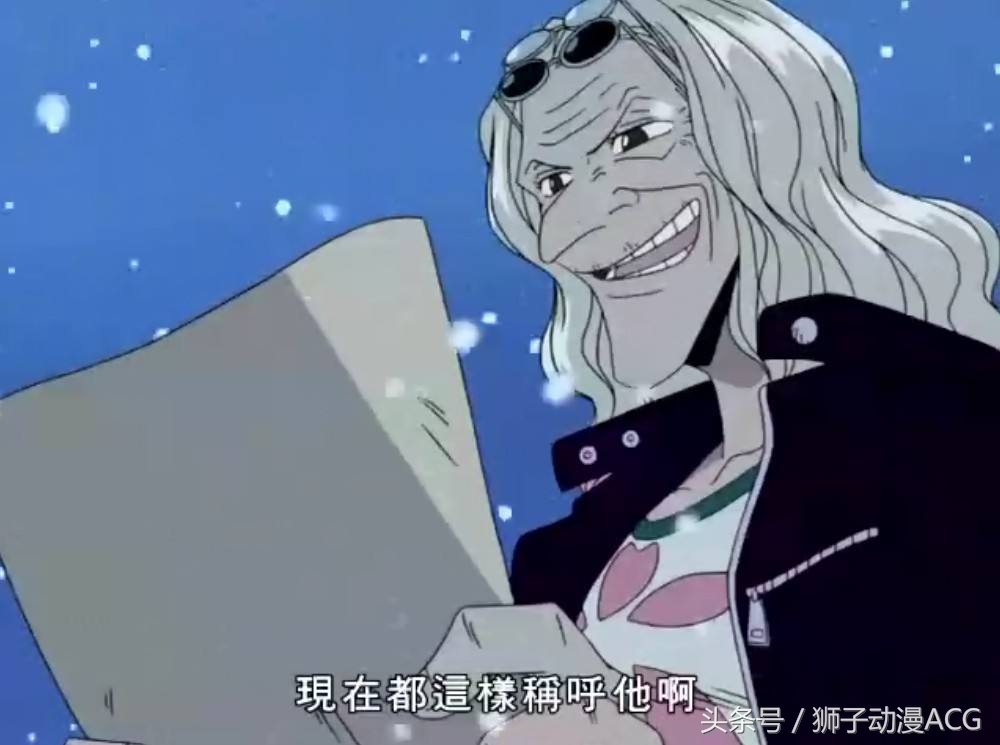 海贼王最强船医排名,海贼王10大怪医生排名