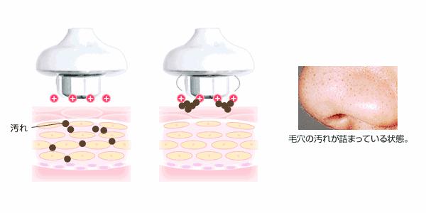 绉戝鎶よ偆鐩茬洰绉嶈崏,绉戝绉嶈崏