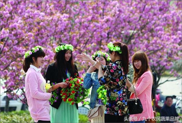 胡晓云,农产品区域公用品牌政策体系