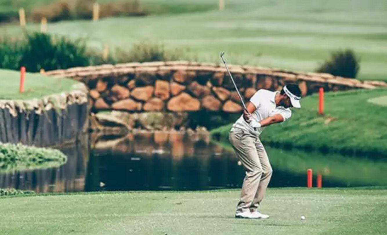 大卫利百特教学乔治,大卫利百特教学全集