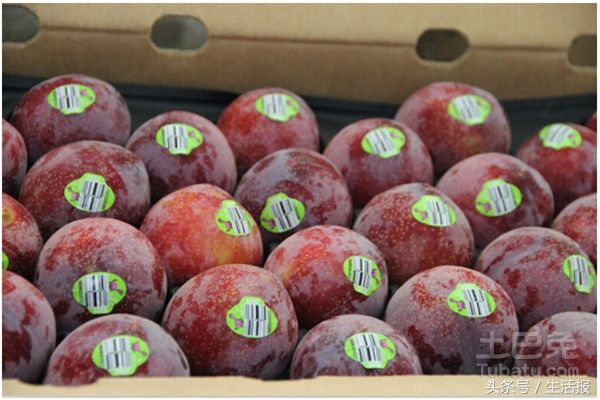 恐龙蛋蜜瓜口感,新疆当季水果恐龙蛋推荐