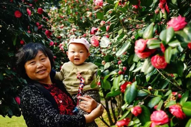 4月照片,4月的照片大全