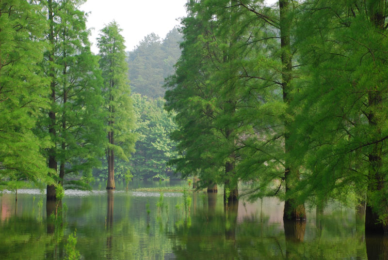 华蓥双枪老太婆雕像搬哪里,四川广安华蓥双枪老太婆图片