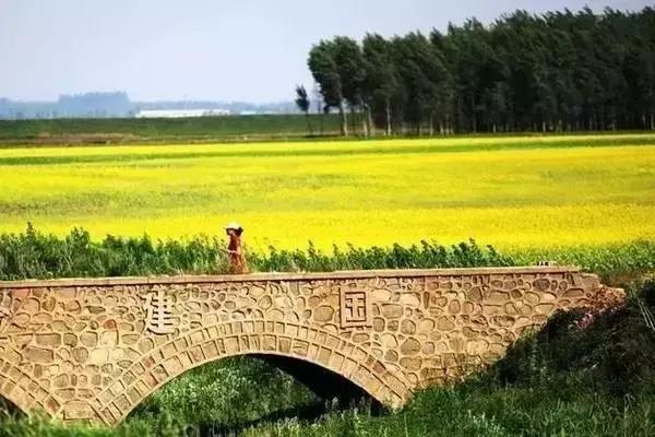 莫负春光辽宁赏花踏青攻略来了,辽宁最美十大花海