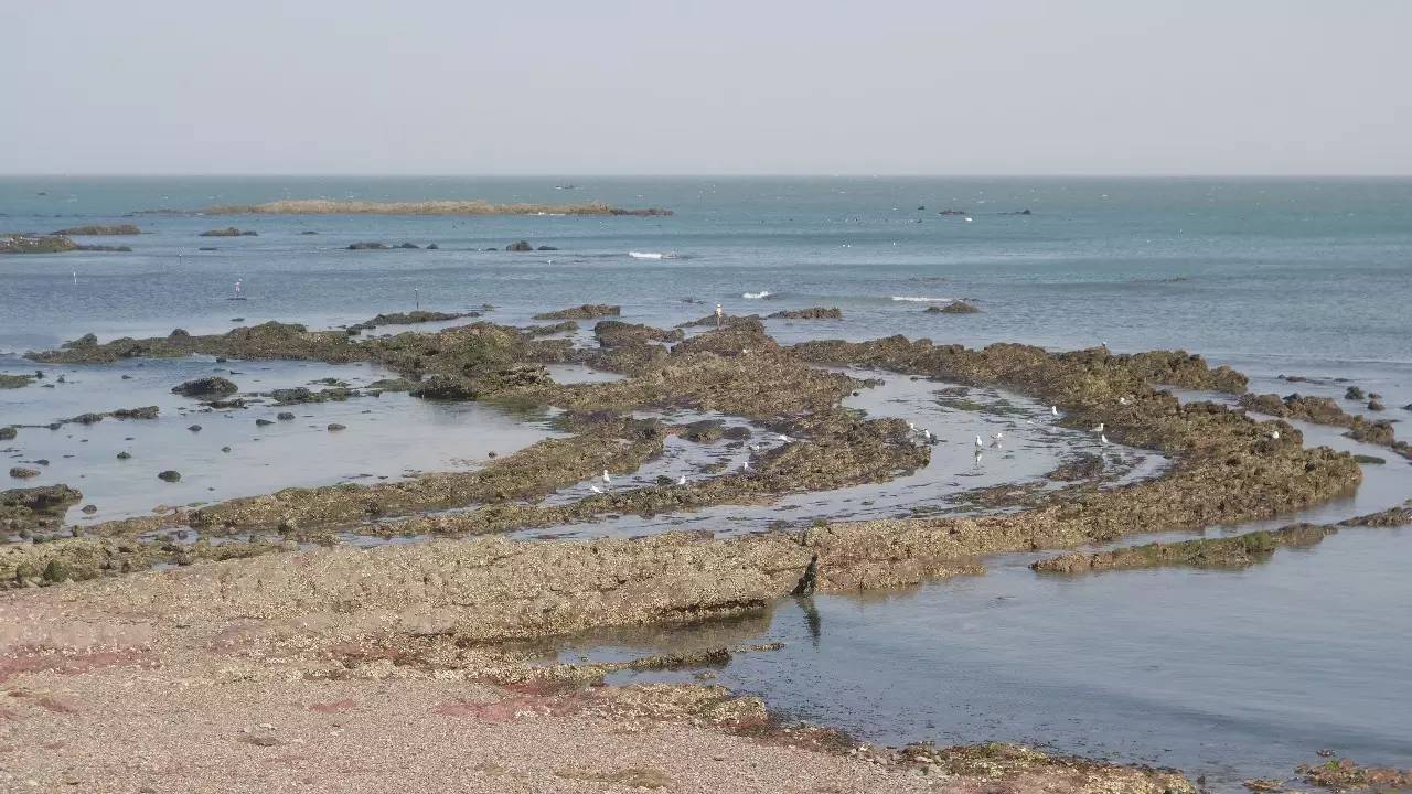 大连好玩的地方滨海路,大连东北路有什么好玩的