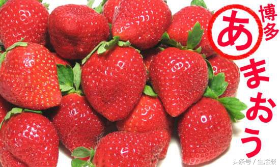 新疆当季水果恐龙蛋推荐,海南恐龙蛋蜜瓜