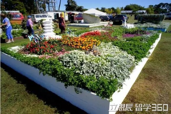 参与过世界杯场馆外围景观设计的牛人分享的新西兰留学经！