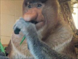 如何快速的跟男友分手,如何机智地与男友分手