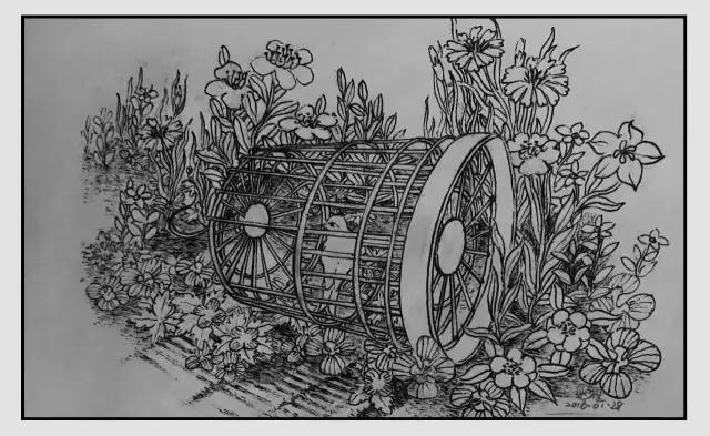 插画师迷狸:路过,停留