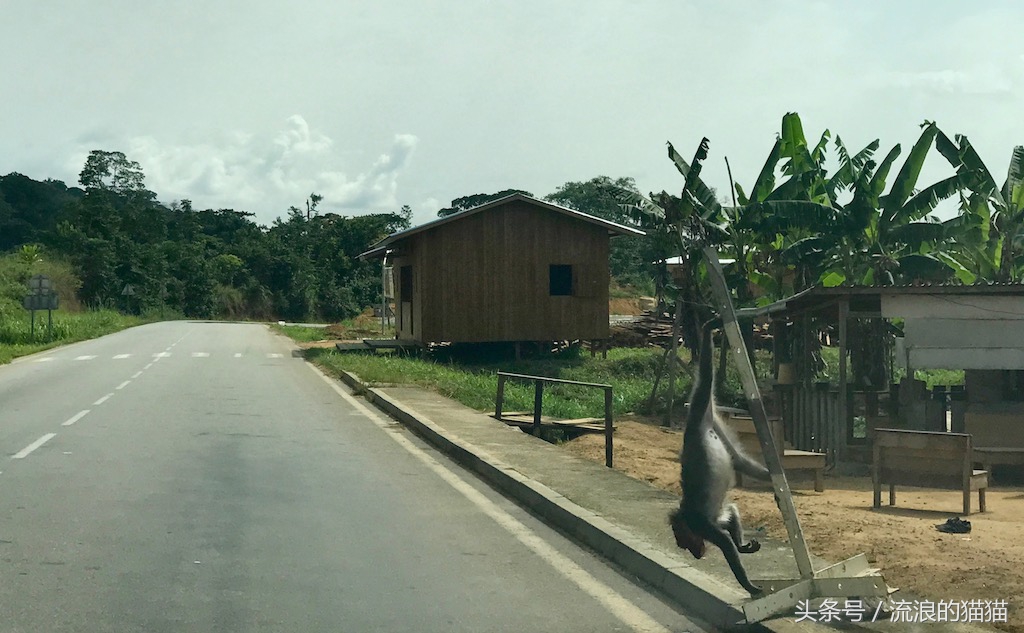 加蓬最不真实的地方,加蓬自然风光