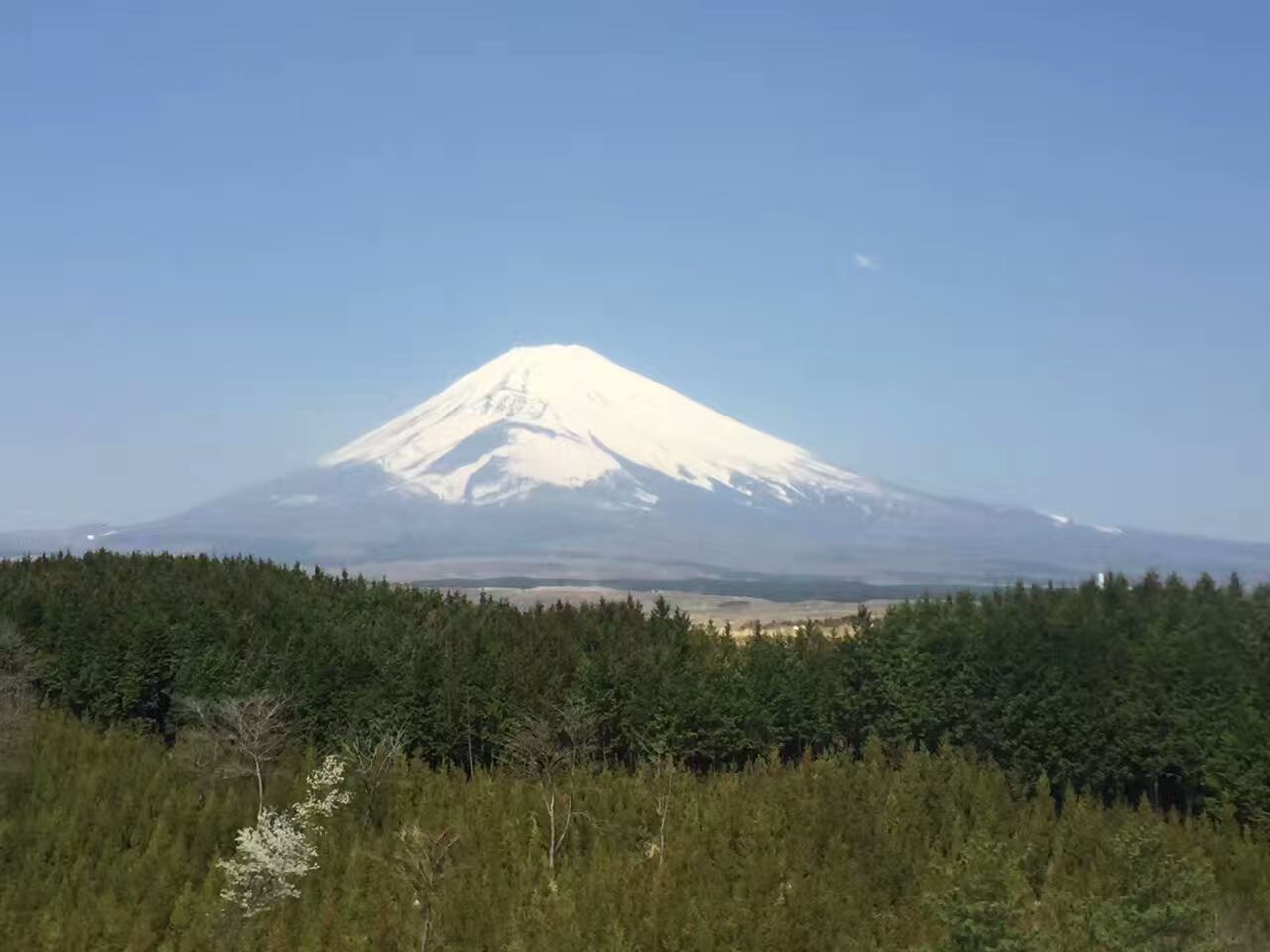 初游日本,日本最值得尊敬的对手