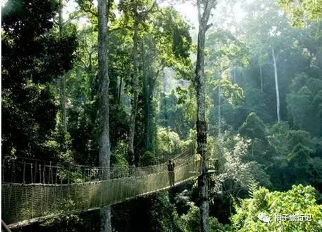 景洪泼水节注意事项,西双版纳泼水节如何不被泼