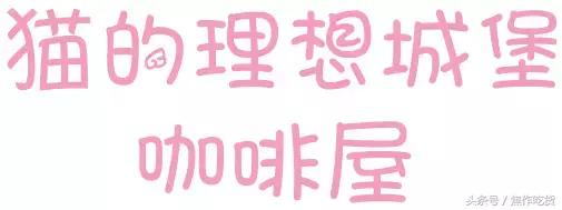 猫咖郑州焦作,焦作猫咖推荐