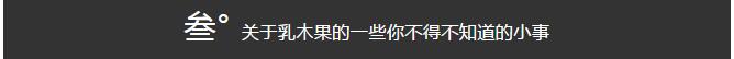 美妆干货:乳木果和牛油果是不是同一个东西?