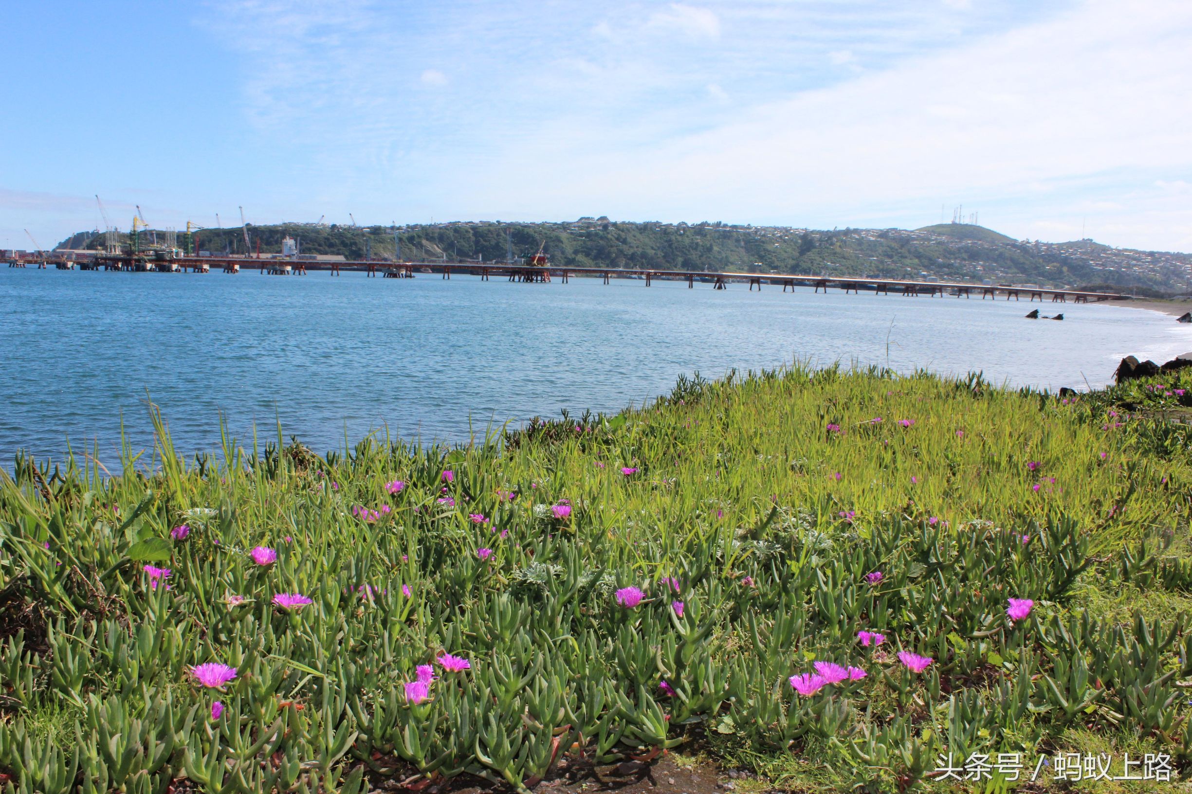 塔尔卡瓦诺智利军港图片,塔尔卡瓦诺城市