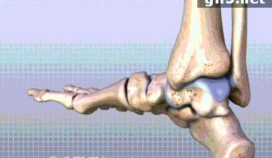 脚踝上下受限恢复训练动作,脚踝强化训练远离脚踝受伤