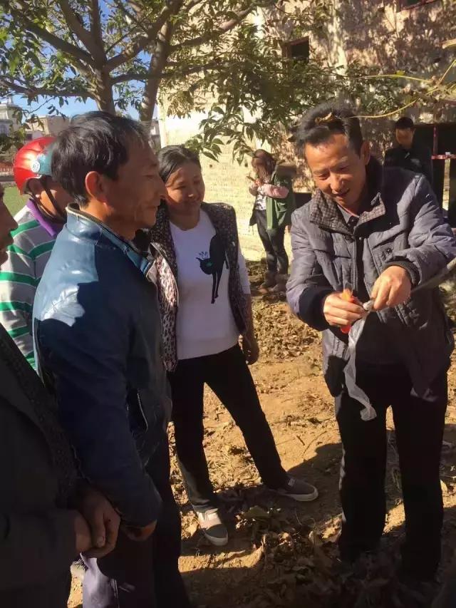 大理技师学院主要学哪些,大理技师学院2016年