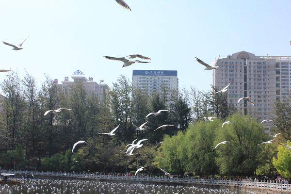 穷游云南1000元以内,穷游云南10天花费多少钱