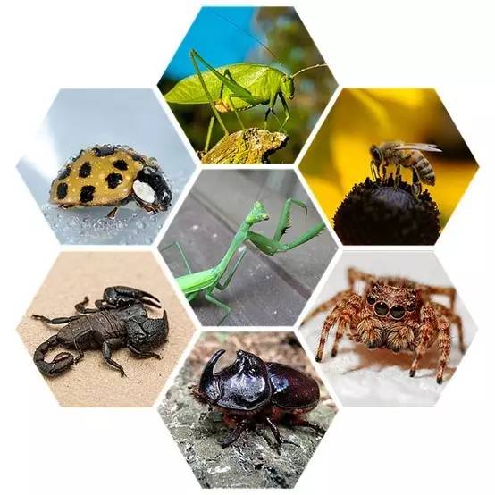 聊城市五一小长假去哪里玩,聊城五一假日攻略