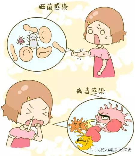 致命危机的化解,致命危机深度解析