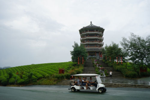 走进湄潭茶园,湄潭茶文化宣传