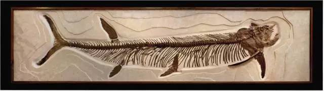 赶快出发!黄石与你有一段“矿世奇缘”，来矿博园找回我们“三生三世”的记忆吧