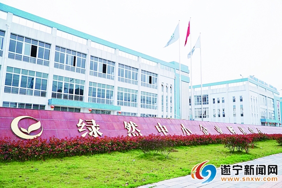 绿然科技集团有限公司,绿然科技是做什么的