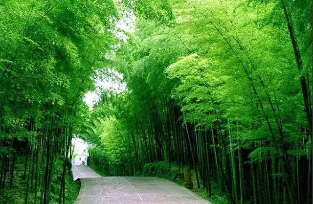 来一场说走就走的旅行江苏,等老了去旅行