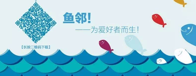 过背金龙和高背金龙的区别,高背金龙跟过背图片对比