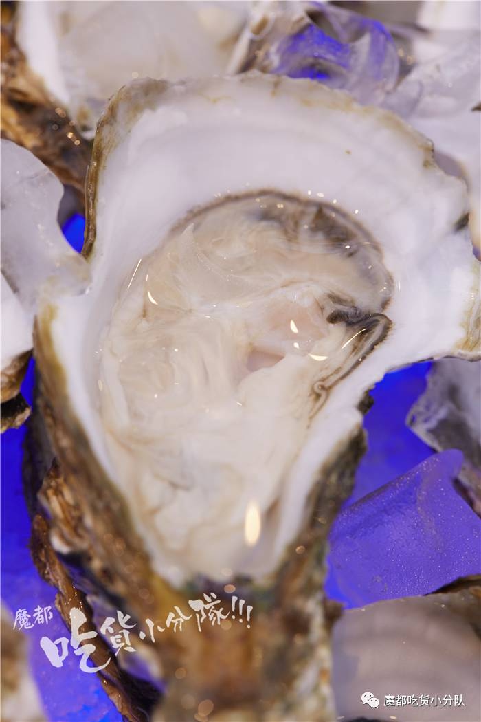 海鲜自助中的平价战斗机，还没支口红贵