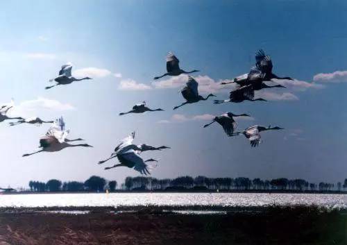 来一场说走就走的旅行江苏,等老了去旅行