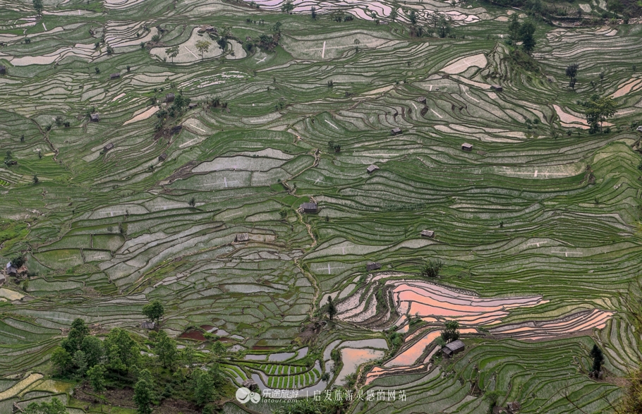 元阳梯田十二庄园香典民宿,元阳梯田世外桃源