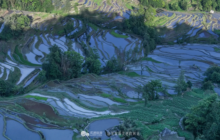 元阳梯田十二庄园香典民宿,元阳梯田世外桃源