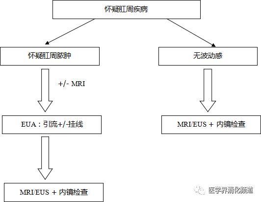 复杂性肛周克罗恩病诊治进展