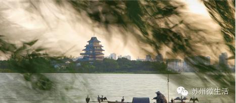 苏州最值得去的五个景点,苏州最值得去的10个景点排名