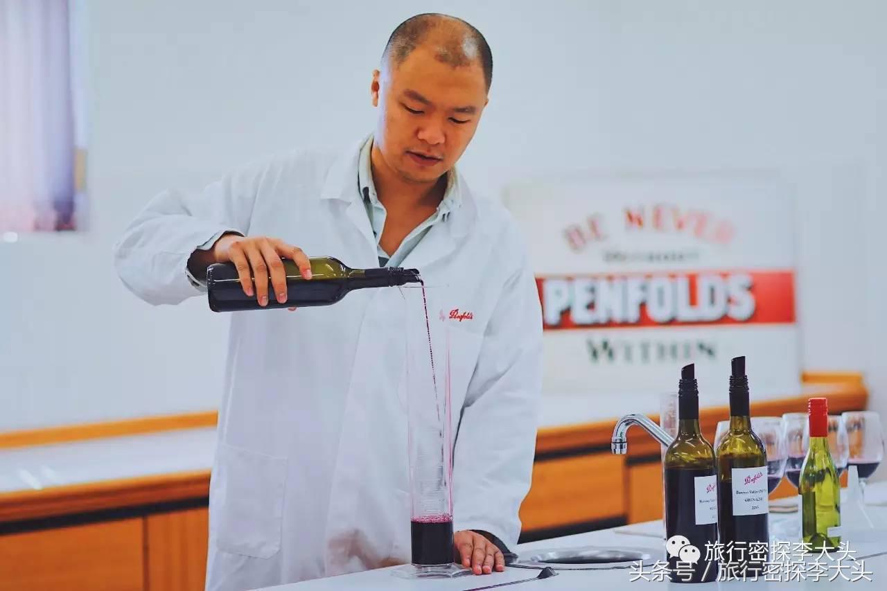 中国哪里可以抱考拉,全球哪里可以抱考拉