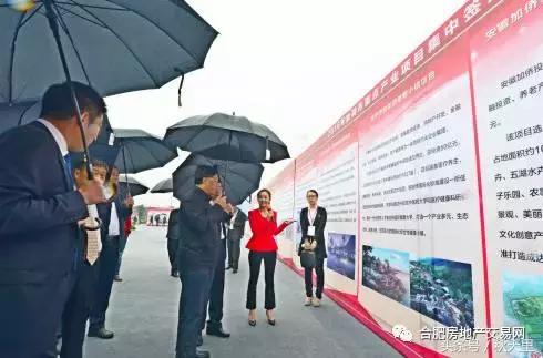 巢湖环湖大道景点,环湖大道巢湖全段