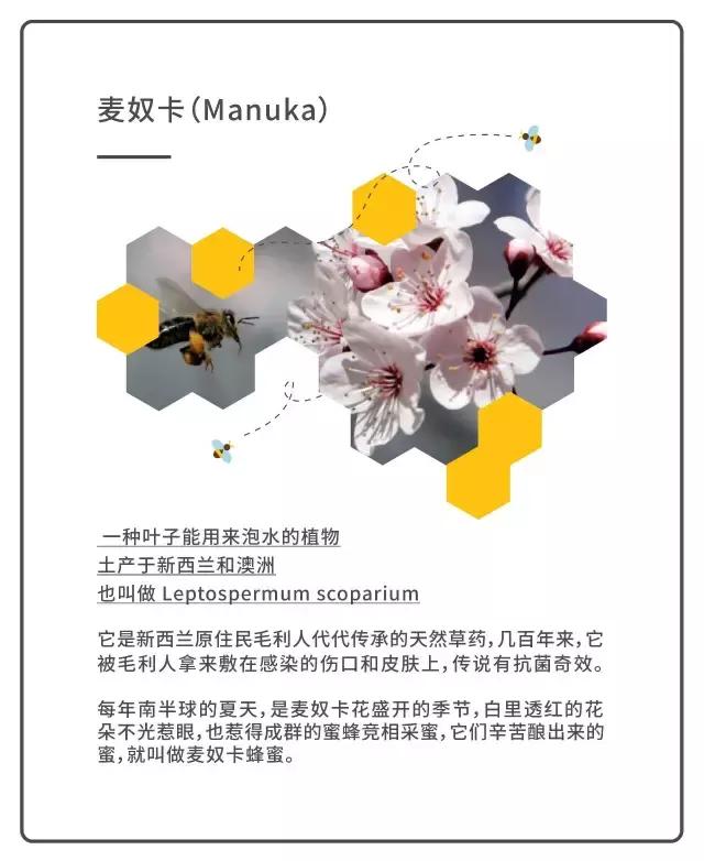 新西兰蜂蜜为什么便宜,新西兰蜂蜜为什么那么便宜