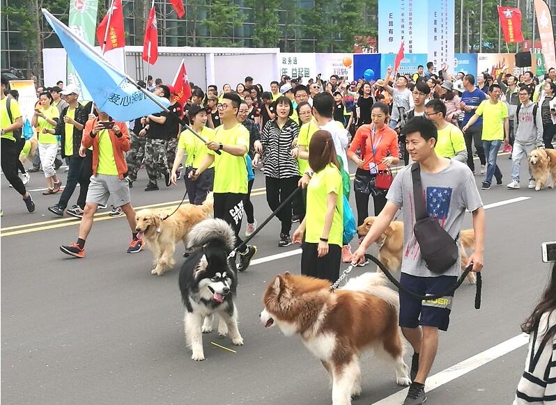 无锡环太湖公路徒步,用运动的脚步丈量美景