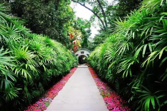 去过100次越秀公园，却不知旁边有个秘密花园！美爆了！