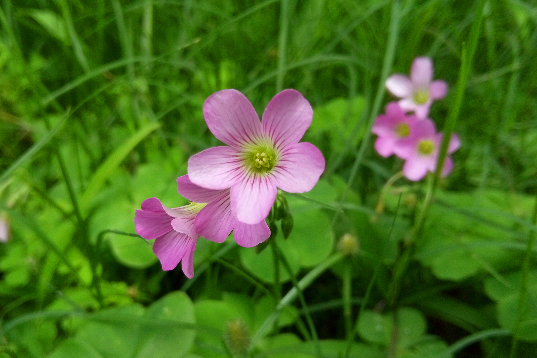 裸眼3d声临其境风景,裸眼3d智能炫屏